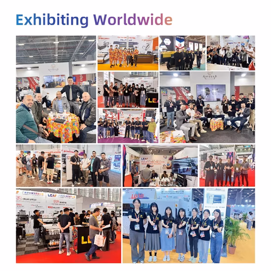 LEAF 필름 프린터에 직접 연결: 높음